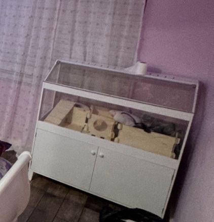 Small Animal Cage
