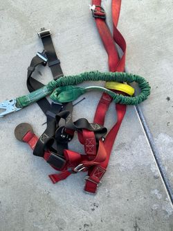 Buckingham arborist harness with Lanyard