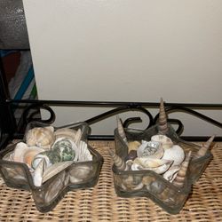 Sea Shell Decorations