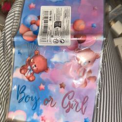 Boy Or Girl Gift Bag 25 Pcs 