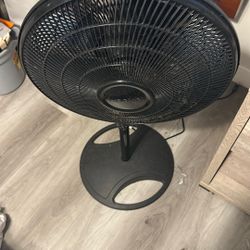 Fan 