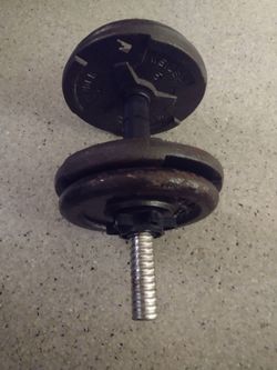 20LB Weights - Completely Functional