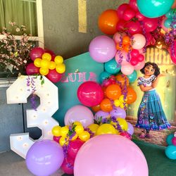 Encanto Birthday celebration