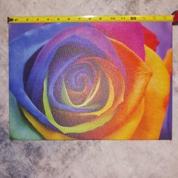 Rose Picture 