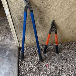 Pruning Scissors