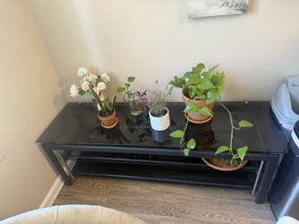 Beautiful sturdy All Glass Entertainment Center 