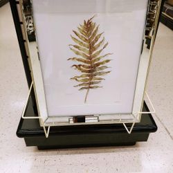  18x22
Mirrored frame with Water Color  leaf Green House Fern art  Work.