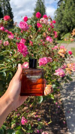 Burberry hero cologne