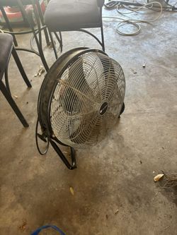 Fan 