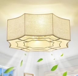 Remote Ceiling Fans with Lights: 20" Caged Flush Mount Ceiling Fan