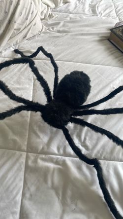 Large Black Fury Spider Decoration