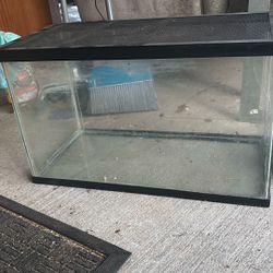 Glass Hamster Cage