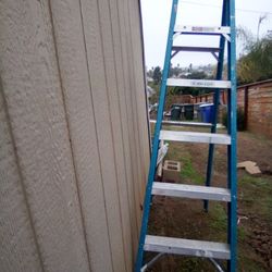 6' Werner Ladder