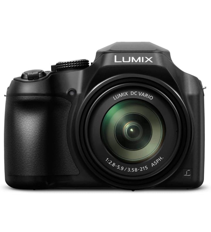 Panasonic Lumix DC-FZ80 Digital Camera Bundle – 60x Optical Zoom & Full Accessories