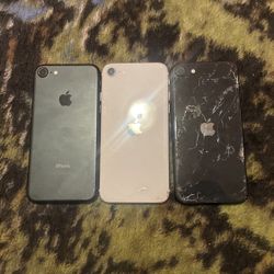 iPhone SE/ iPhone 7 