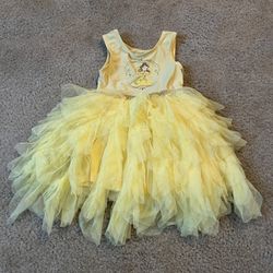 Disney Costume  (2T)