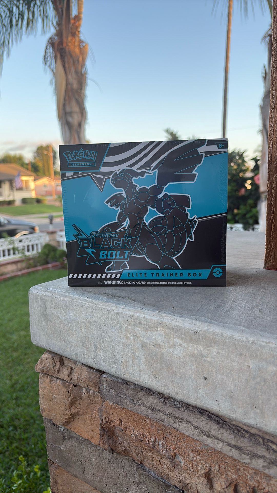 Pokemon Black Bolt