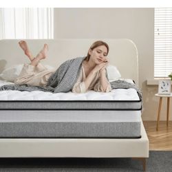 Twin Mattress 12”