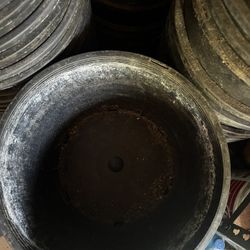 Plant Pots 