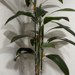 Move Out Sale - Artificial Plant