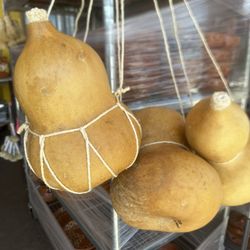 Boule Extra Grande Para La Agua! Cada Uno!