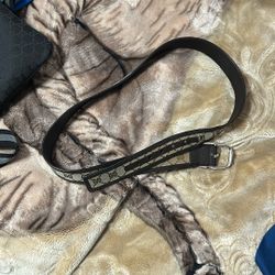 Gucci Belt 