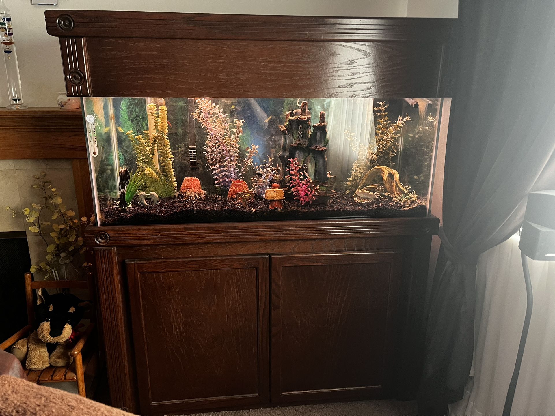 75 Gallon Aquarium