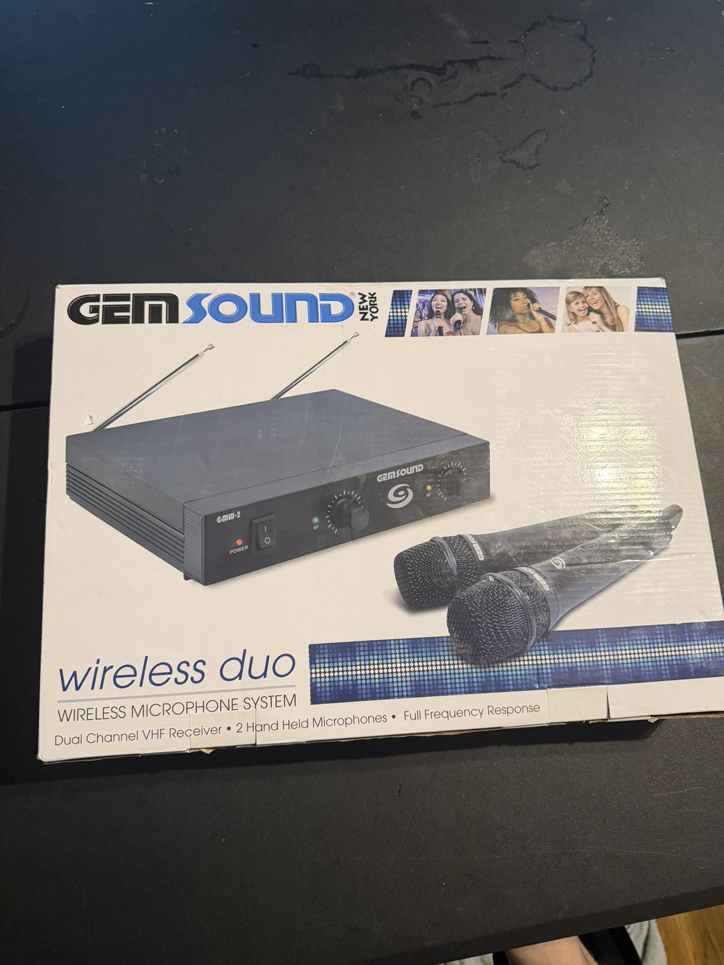Wireless Microphone Duo System 