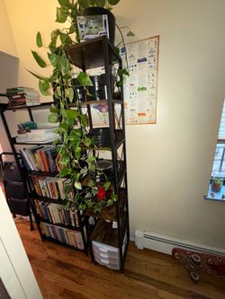 Tall skinny shelf unit