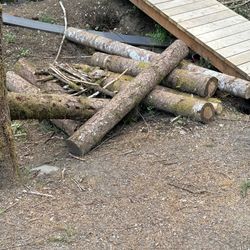 Free Firewood