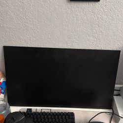 HP Monitor 