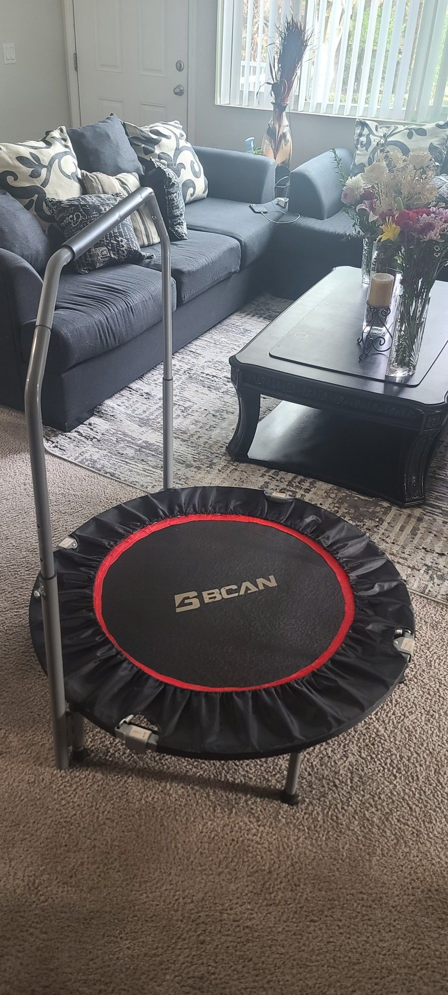 Bcan Mini Trampoline