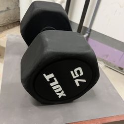 75 Pound Dumbbell XULT Black
