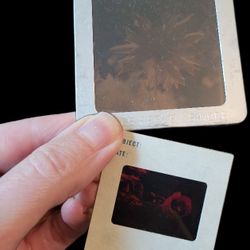 Lot Of Vintage Photo Slides