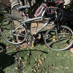 Cypress Lx Giant Bike