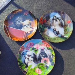 Lot Of 3 Vintage Danbury Mint Collector Shih Tzu Plates