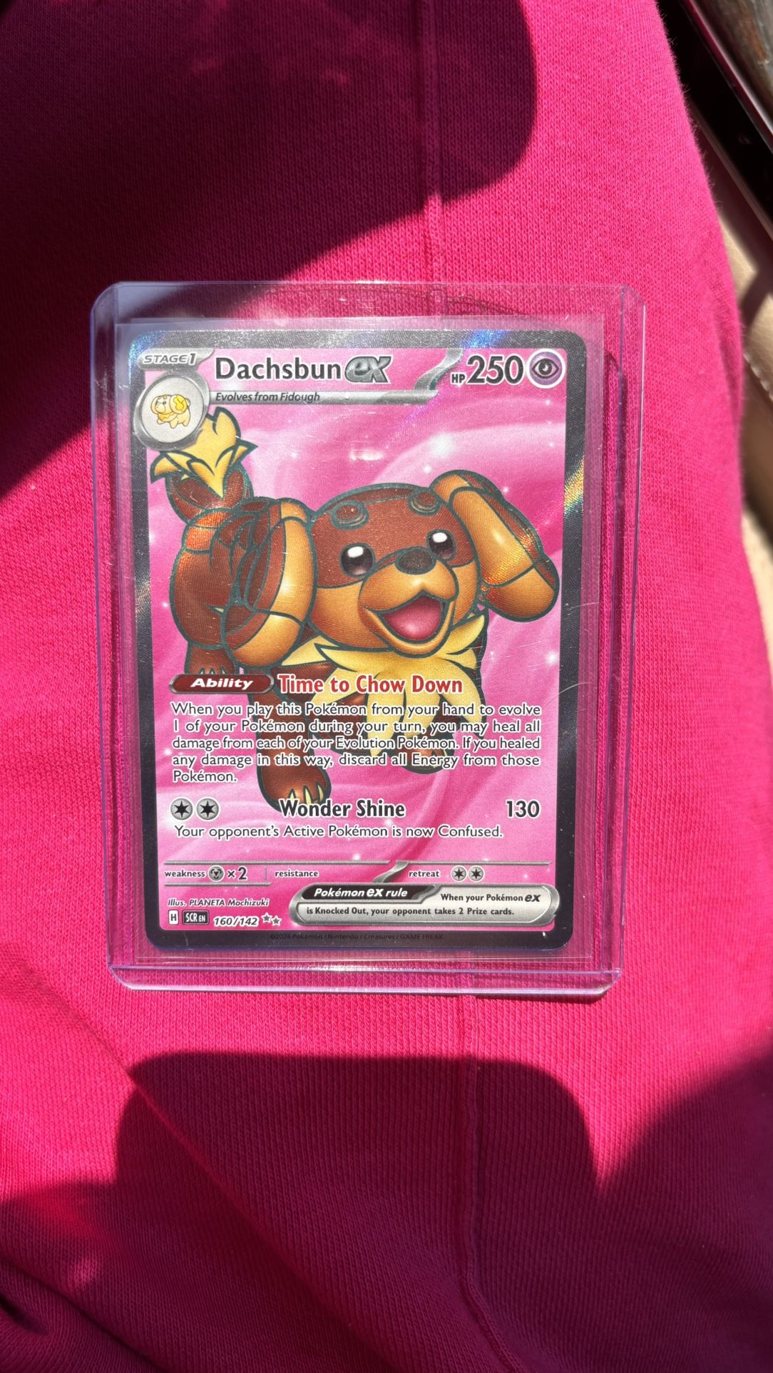 Dachsbun Ex #160/142 Pokemon Stellar Crown