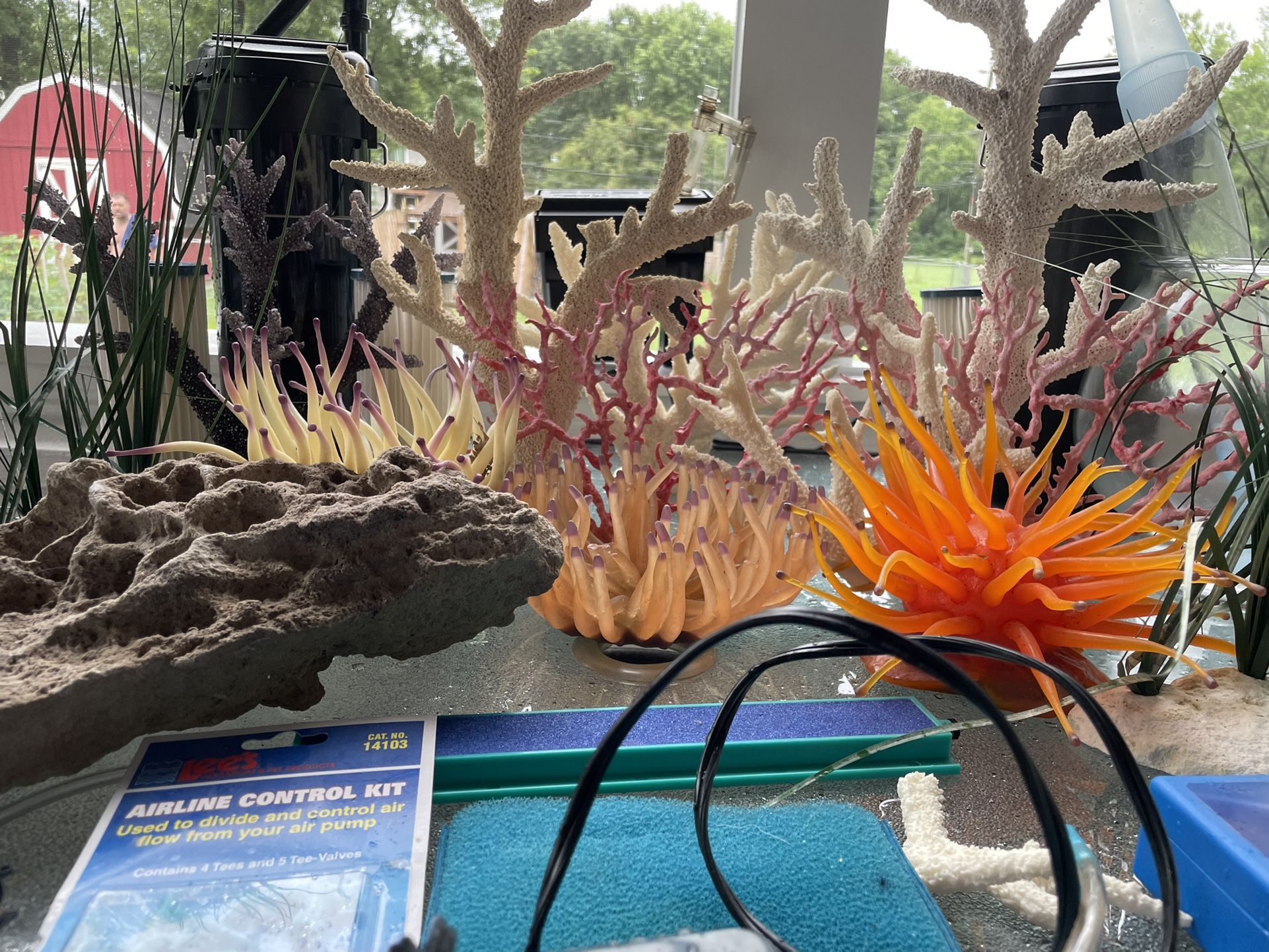 Salt Water Aquarium Filters and Coral.