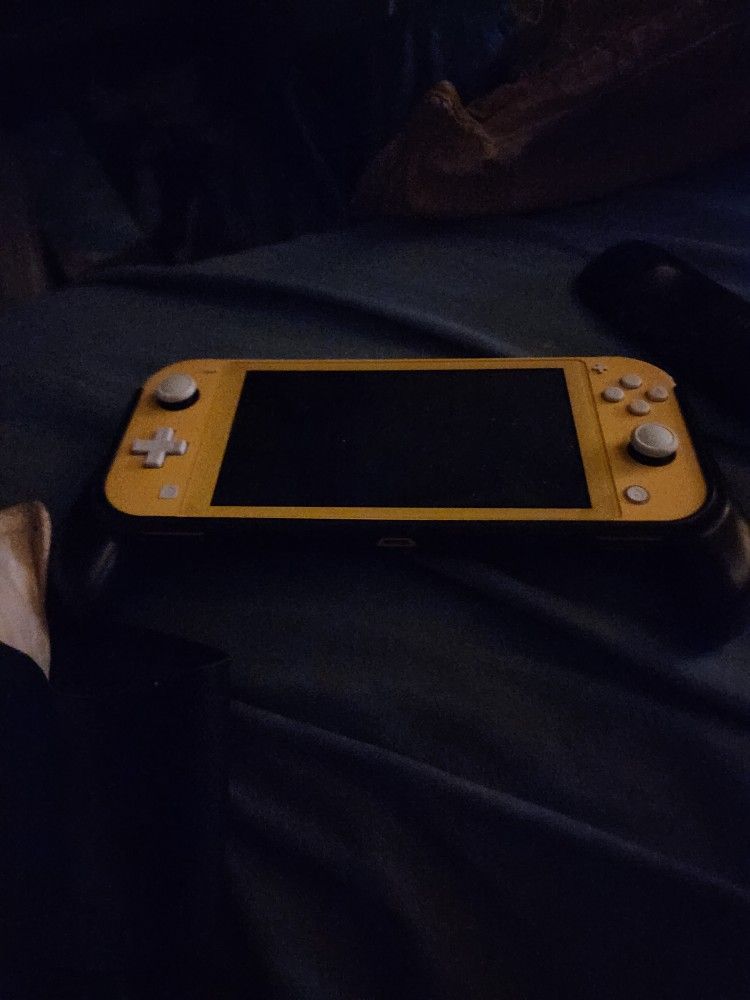 Nintendo Switch Lite