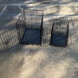 Dog Kennel