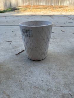 Pot