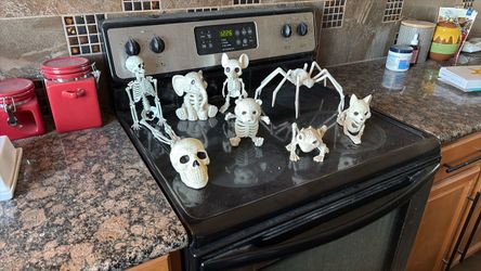 Halloween decorations