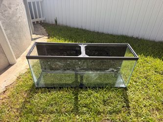 55 Gallon Fish tank