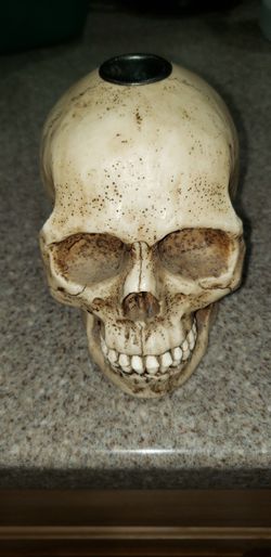 Skull candle holder