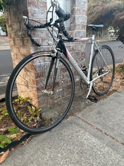 Specialized Alex Comp aluminum bike with carbon fork size 50 Shimano Ultegra