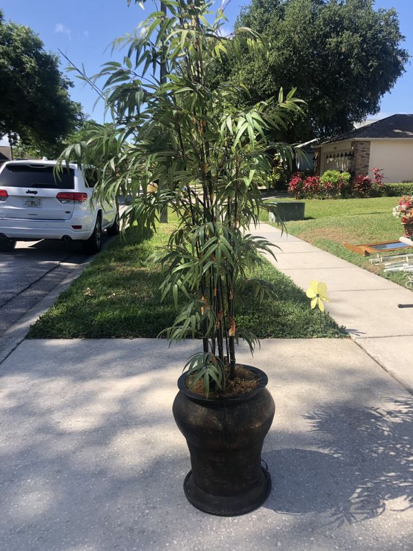 Indoor Bamboo plant and planter with uplight. for Sale in