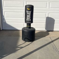 Everlast Punching Bag