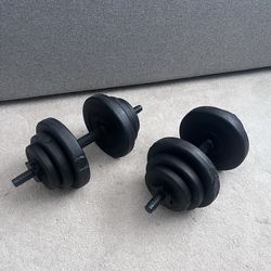 Adjustable Dumbbells Set –20