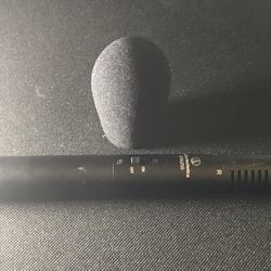 Microphone