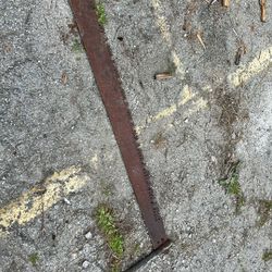 Old Hand Saw 